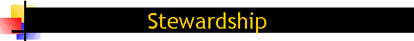 Stewardship